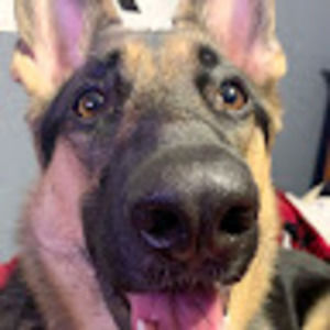 Meet your Posher, William